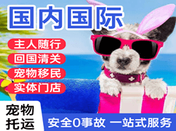 图木舒克唐王城航空快递国际宠物托运 【国